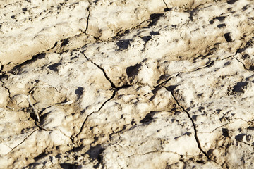 Dry and broken field