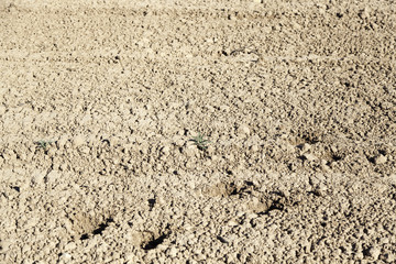 Dry and broken field