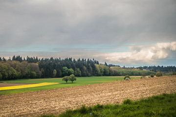 Obstb&auml;ume im Fr&uuml;hjahr