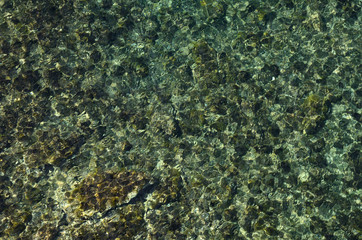 Fototapeta na wymiar Background of the Corsican shallow water