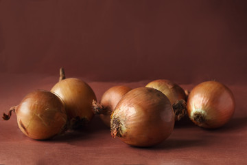 still life with onion on a brown background