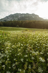 Obraz premium Mountain pass at sunset light in high mountains; wide angle lens, low angle view; 