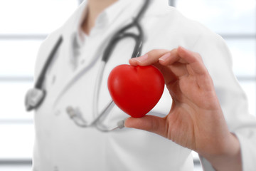 Doctor holding heart