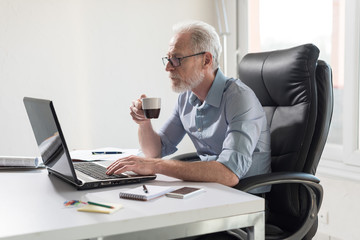 Portrait of senior businessman working on laptop, hard light