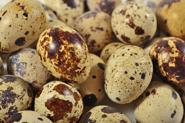 Quail eggs as background texture