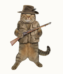 The brave cat is holding a real rifle. He wears hunting hat and vest.