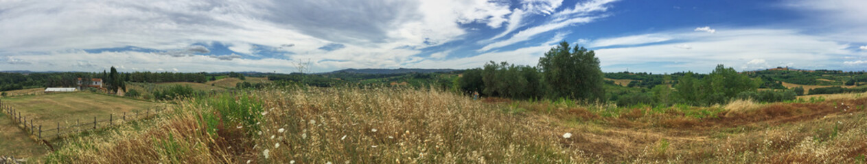 Tuscany landscape