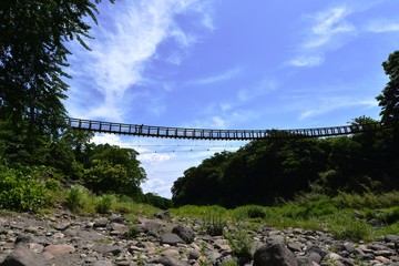 Fototapeta premium 原尻の滝