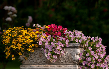 Fototapeta na wymiar Flowers in old style pot.