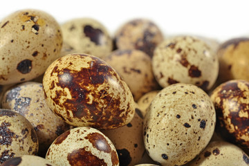 Quail eggs close up on a white