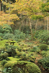 秋の京都の寺院の庭