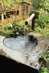 京都の寺の手水