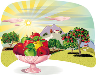 Orchard with rows of apple trees and fruit bowl