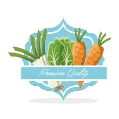vegetables premium quality food vector illustration eps 10