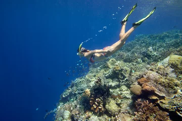 Fototapeten woman snorkeling in tropical water near coral reef © soft_light