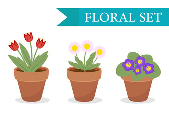 Flower pot with different flowers set, flat style. Flowerpot Collection isolated on white background. Vector illustration, clip art