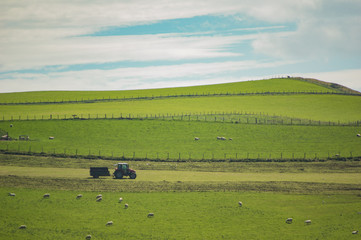 Tractor and trailer in green fields