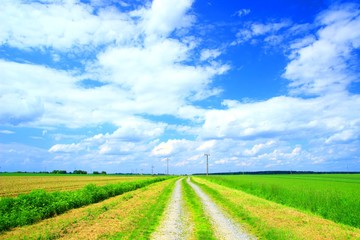 Countryside landscape in spring with field road, power line and beautiful blue sky with some clouds