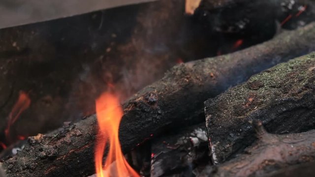 Charred wood in the fire. Burning wood in flames. Slow motion video