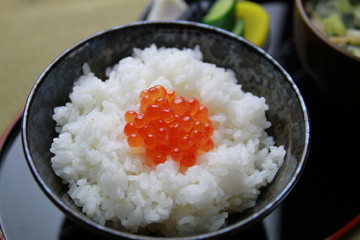 白米といくら