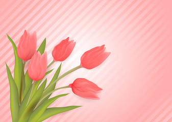 Greeting card with red tulip flowers. Striped background.