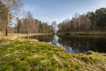 Fototapeta na wymiar Svarttjern, a Frog and Toad pond in Baneheia in Kristiansand, Norway