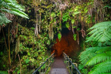 Fototapete Naturpark Die Thurston Lava Tube im Hawaii Volcano National Park, Big Island