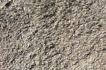 dried soil closeup texture