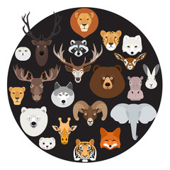 Big animal face icon circle set on black background. Cartoon heads of fox, rhino, bear, raccoon, hare, lion, owl, rabbit, wolf, hippo, elephant, tiger, giraffe, moose, deer, elk, sheep, ram, ermine