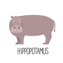 Hippo flat style vector. Wild herbivorous animal. African fauna species. Cartoon cute hippopotamus vector flat illustration