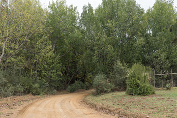 Gravel road between the Cango Caves and Calitzdorp