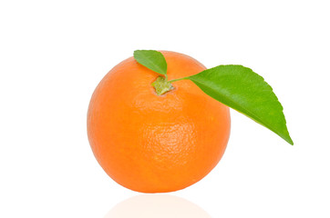 fresh orange isolated on white background