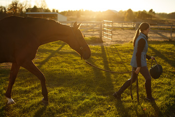 Woman leading horse across field at sunset