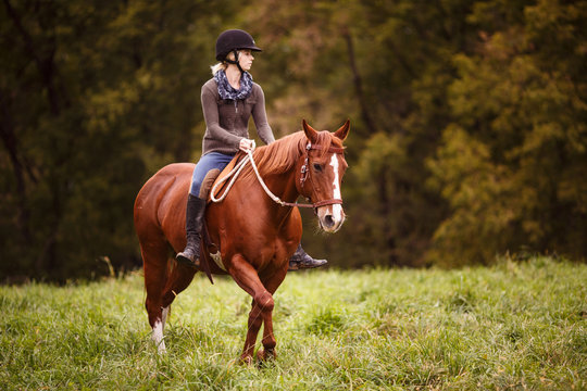 Young woman riding horse in field