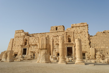 Obraz premium Palmyre detail