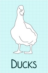 duck drawing
