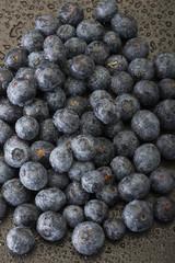 blue berry on wooden background