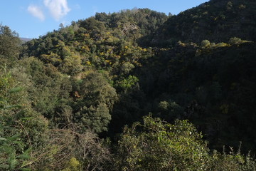 Fototapeta na wymiar Mountains of Serra da Lousa forest. Coimbra, Portugal