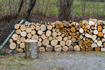 pile of natural wooden logs