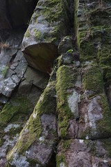 Old tree trunk background texture. Image taken in Serra da Lousa, Coimbra, Portugal