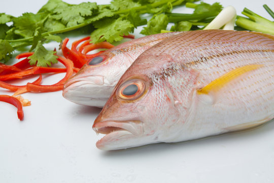 delicious portion of fresh fish fillet with aromatic herbs spices