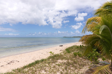 Exotic beach, blue sky with clouds, Caribbean Islands
