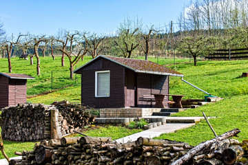 Garden shed made of wood