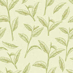 Fototapeta premium Green tea. Vector seamless pattern. Vintage style