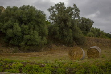 Balle di fieno e cielo nuvoloso
