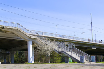 Trestle bridge in Kaliningrad