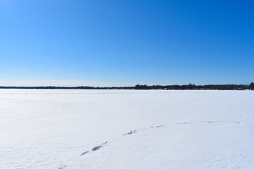 Clear Blue Sky on a Cold Winters Day