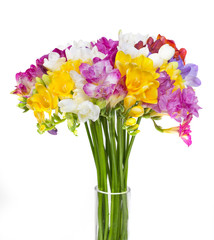 colorful feesia flower bouquet isolated on white background