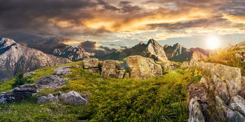 Composite panorama of dandelions among the rocks in High Tatra Mountain ridge in the distance....