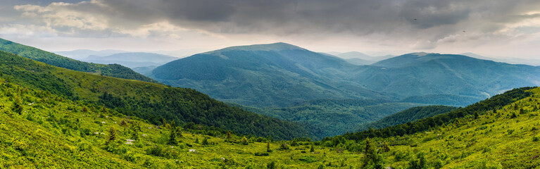 Obraz premium panoramic summer landscape with hillside meadow in mountains